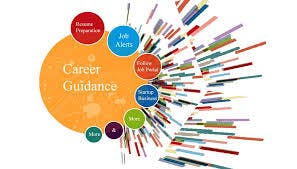 What do you need to know about career guidance