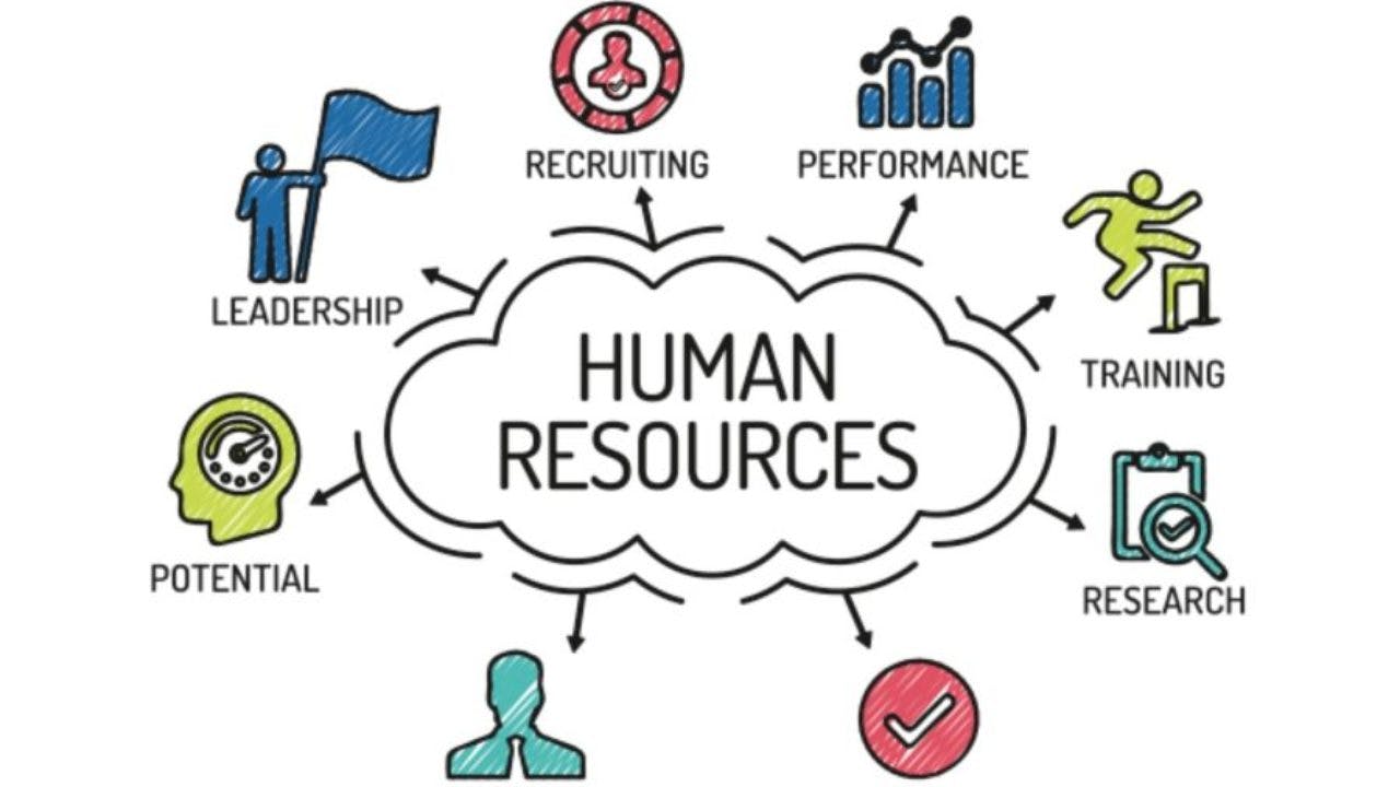 What you Need to Know About Human Resources  in Human Resources 