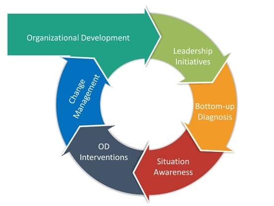 Organizational Development: A Guide for beginners