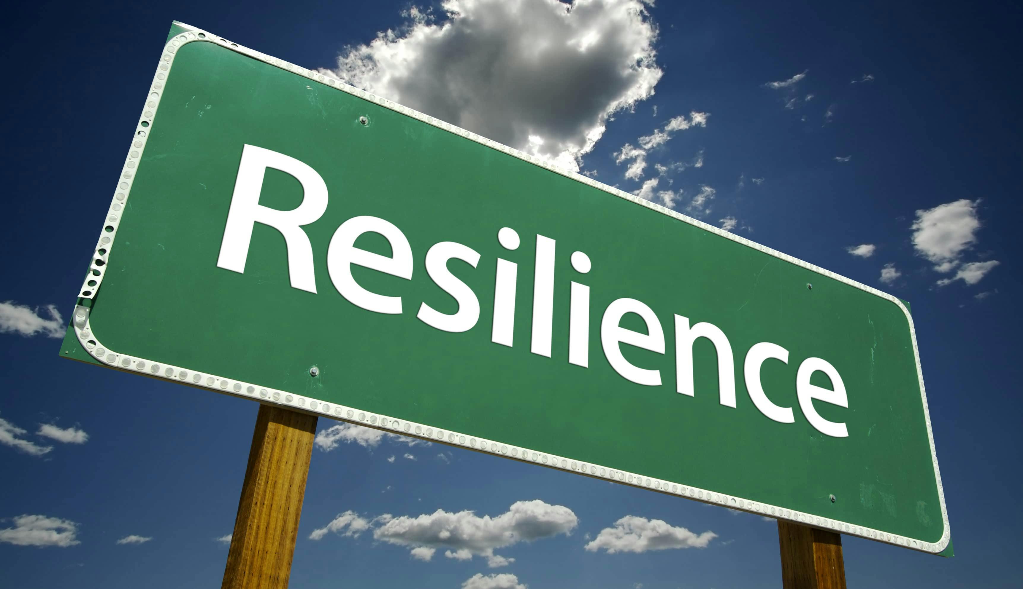 What is employee resilience?