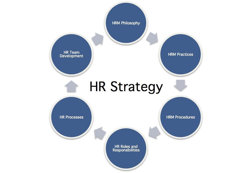 Does the HR Strategy matter?