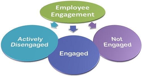 What are the types of employee engagement