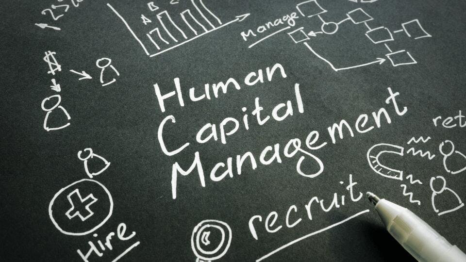 Human Capital Management: What You Need to Know