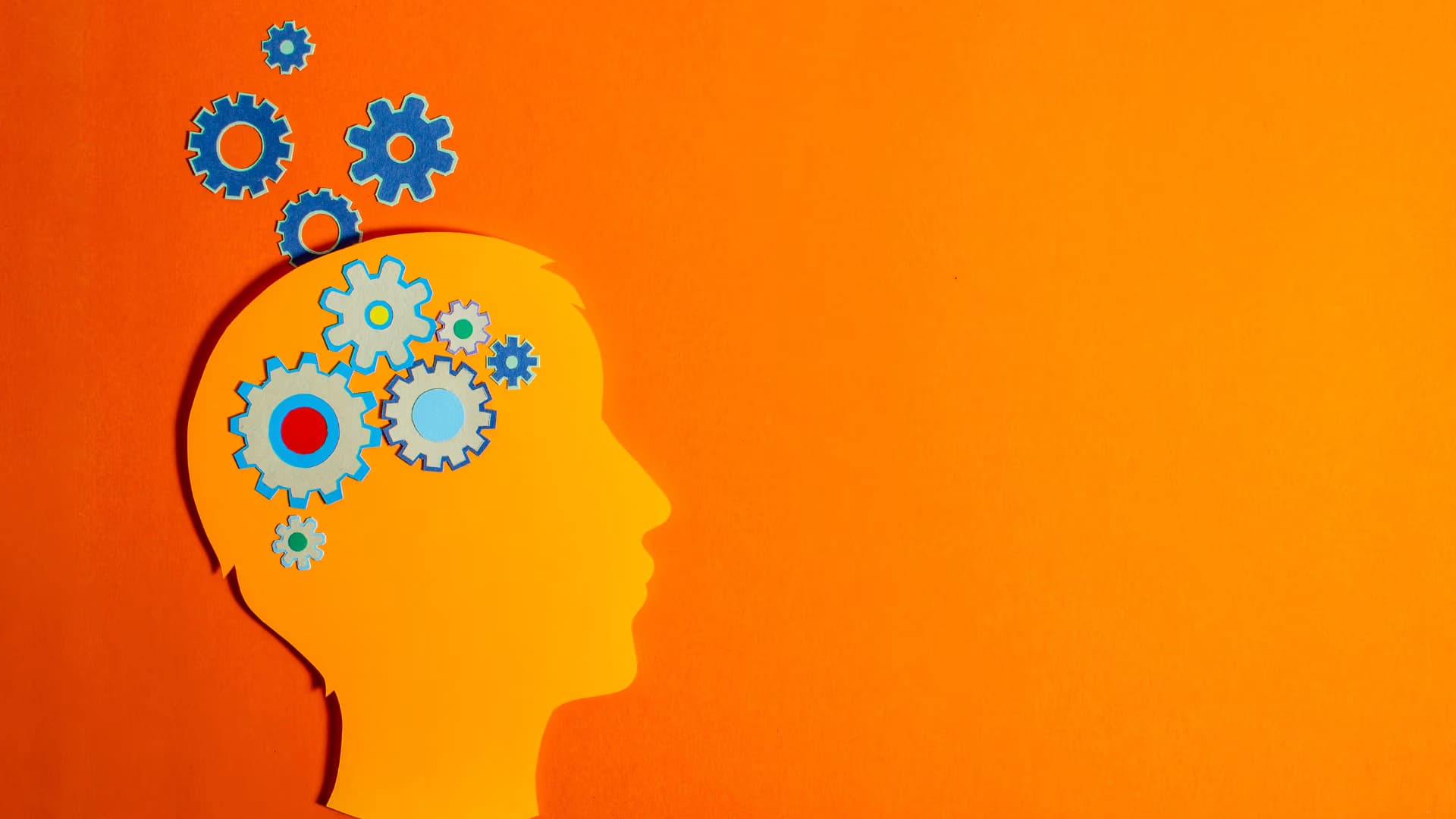 Test for Cognitive Ability: What the Research Says and What HR Gets Wrong