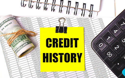 Credit Chronicles: Navigating Financial Histories Through Background Check Sites