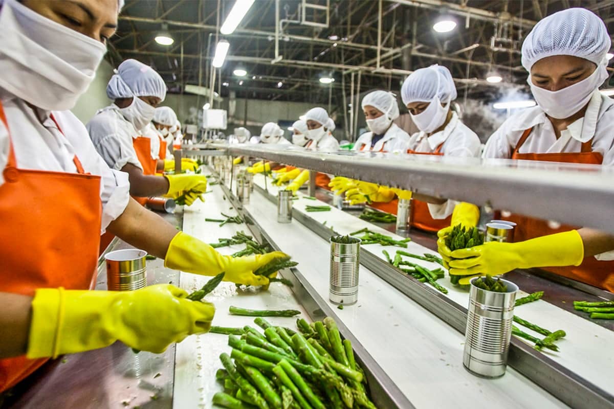 Safeguarding Standards With A Proactive Approach To Compliance In Food Processing