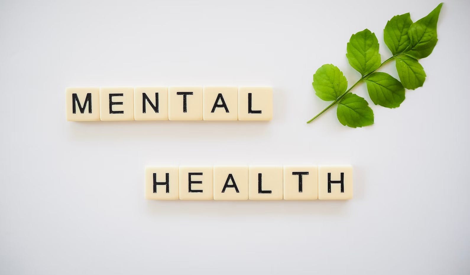Improving Mental Health Practice With Software
